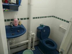 Blk 433 Clementi Avenue 3 (Clementi), HDB 4 Rooms #515221981
